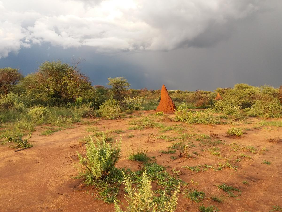 Lion'S Den Guesthouse Otjiwarongo Kültér fotó