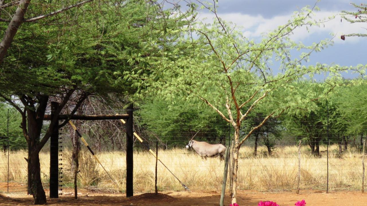 Lion'S Den Guesthouse Otjiwarongo Kültér fotó