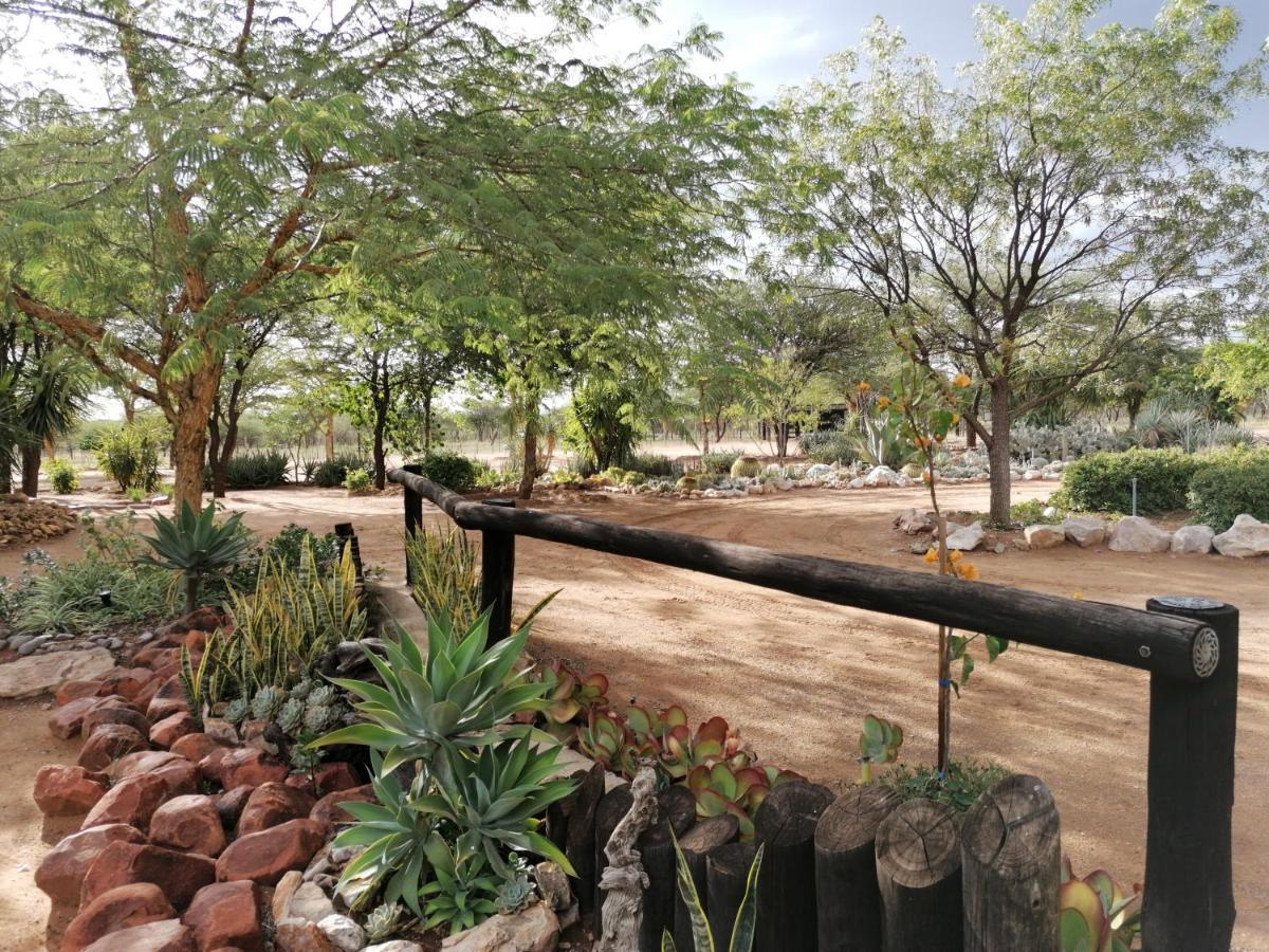Lion'S Den Guesthouse Otjiwarongo Kültér fotó
