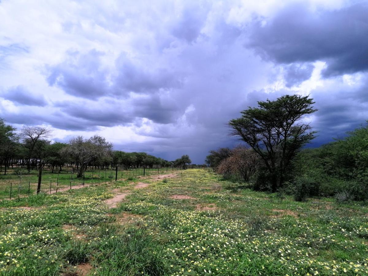 Lion'S Den Guesthouse Otjiwarongo Kültér fotó