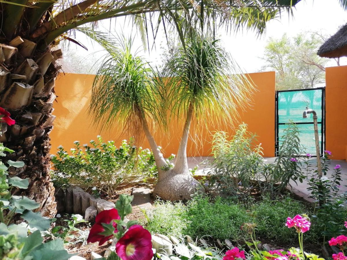 Lion'S Den Guesthouse Otjiwarongo Kültér fotó