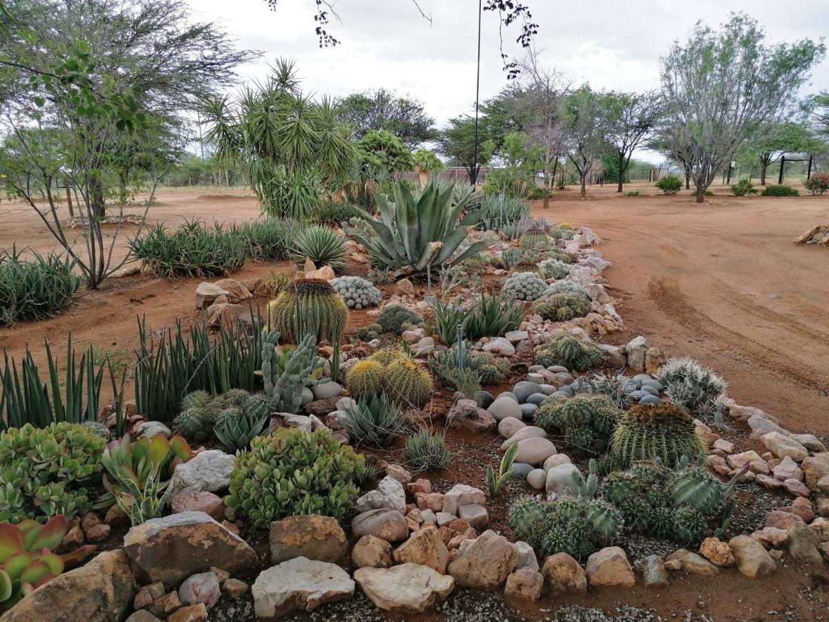 Lion'S Den Guesthouse Otjiwarongo Kültér fotó