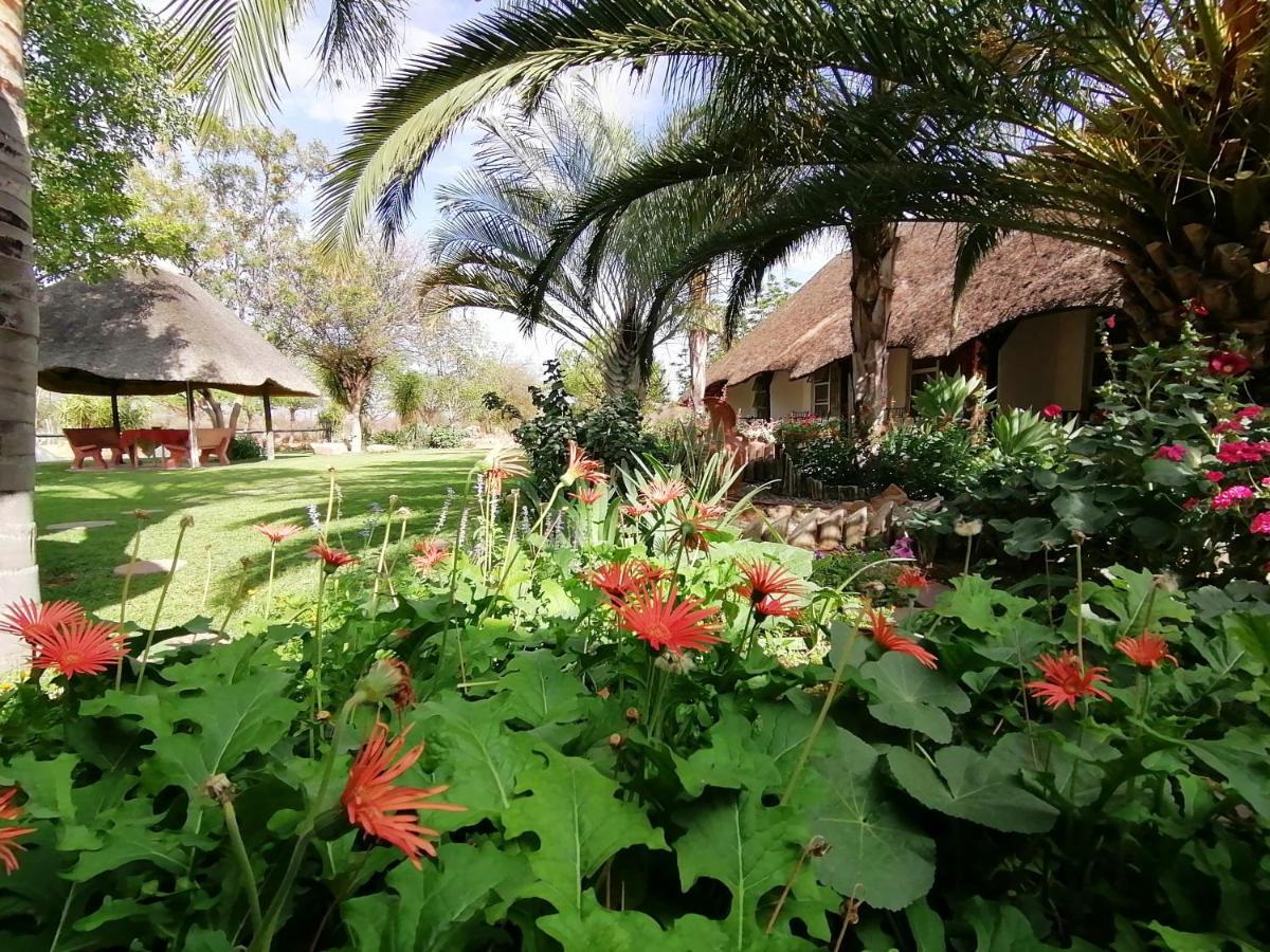 Lion'S Den Guesthouse Otjiwarongo Kültér fotó