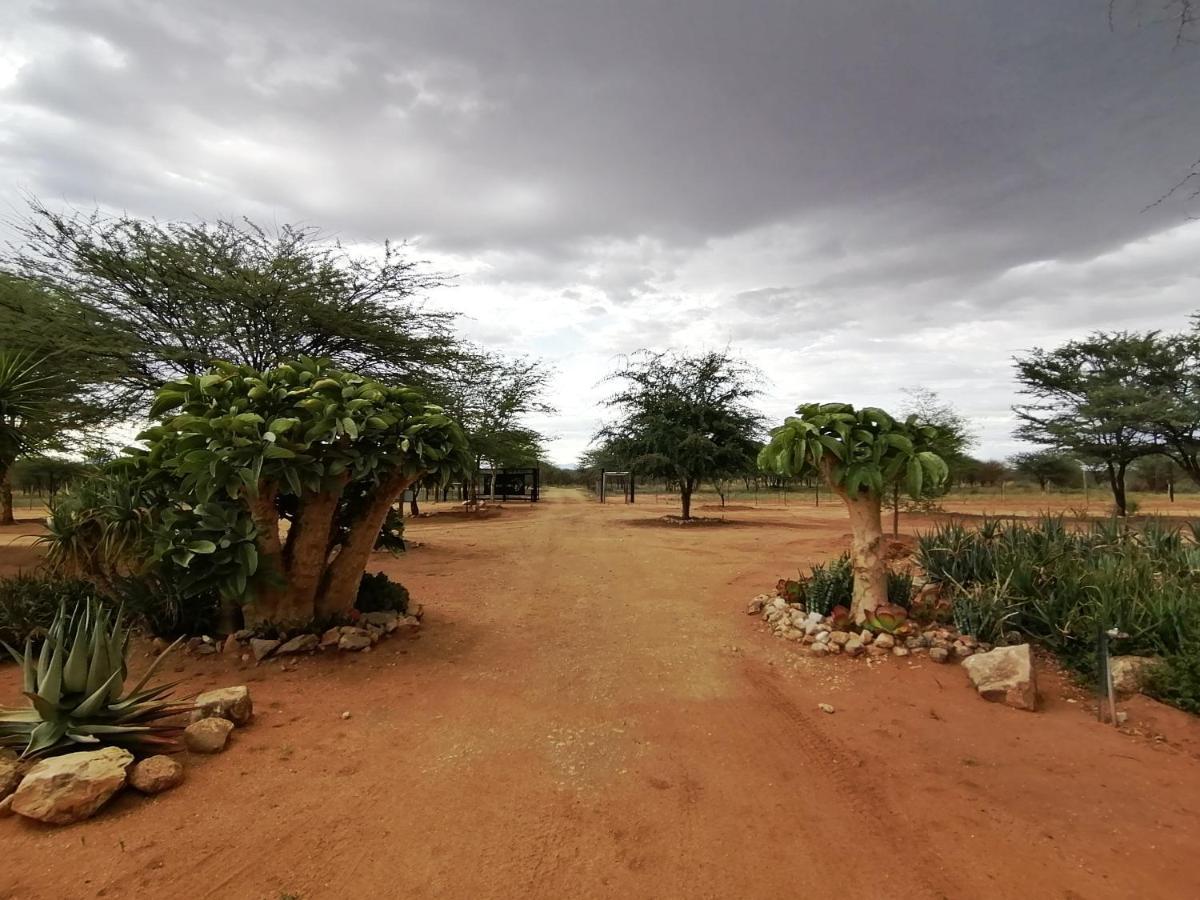 Lion'S Den Guesthouse Otjiwarongo Kültér fotó