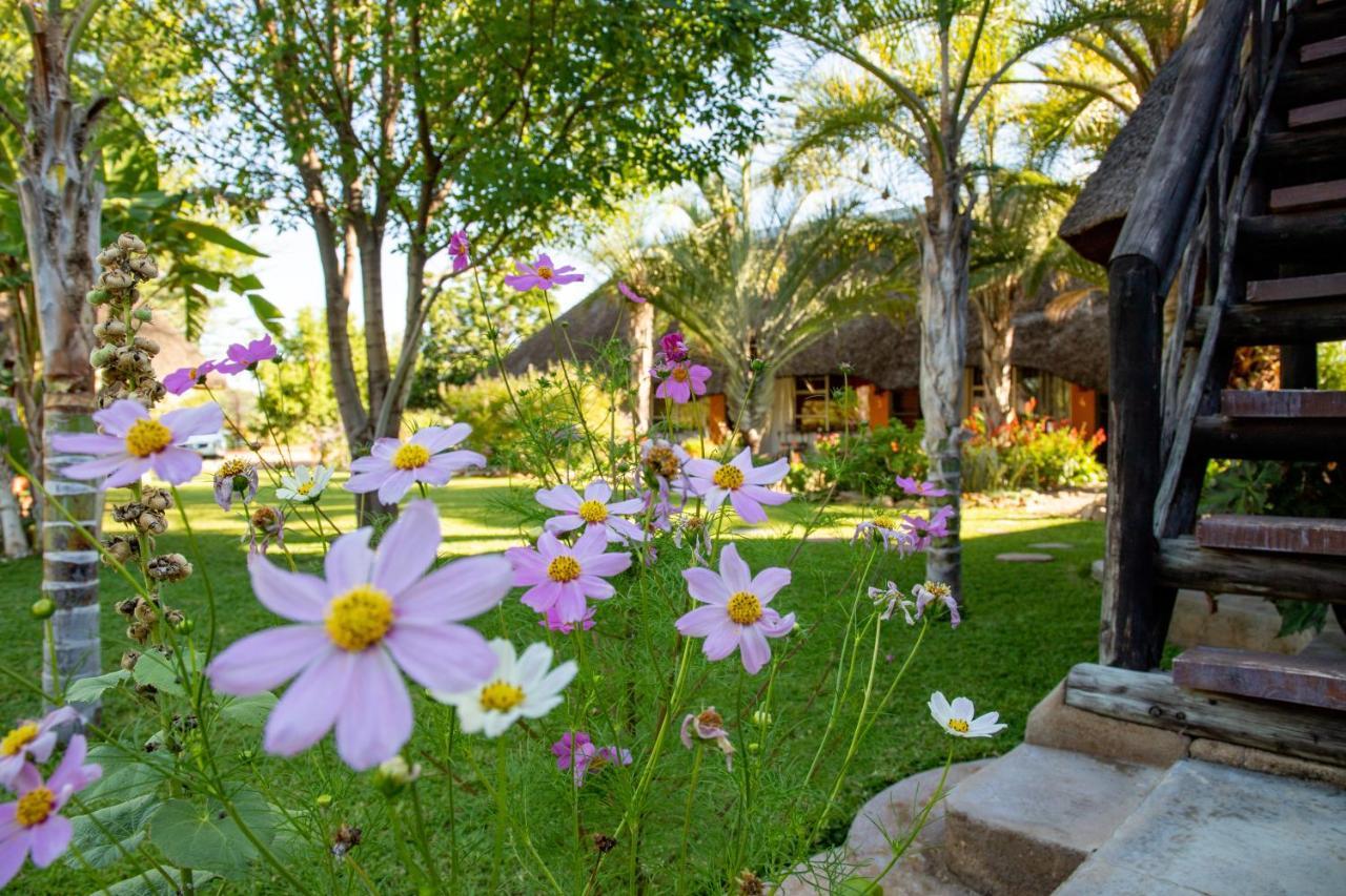 Lion'S Den Guesthouse Otjiwarongo Kültér fotó