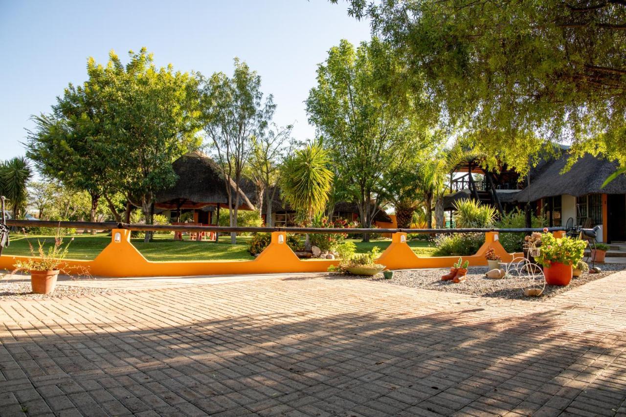 Lion'S Den Guesthouse Otjiwarongo Kültér fotó