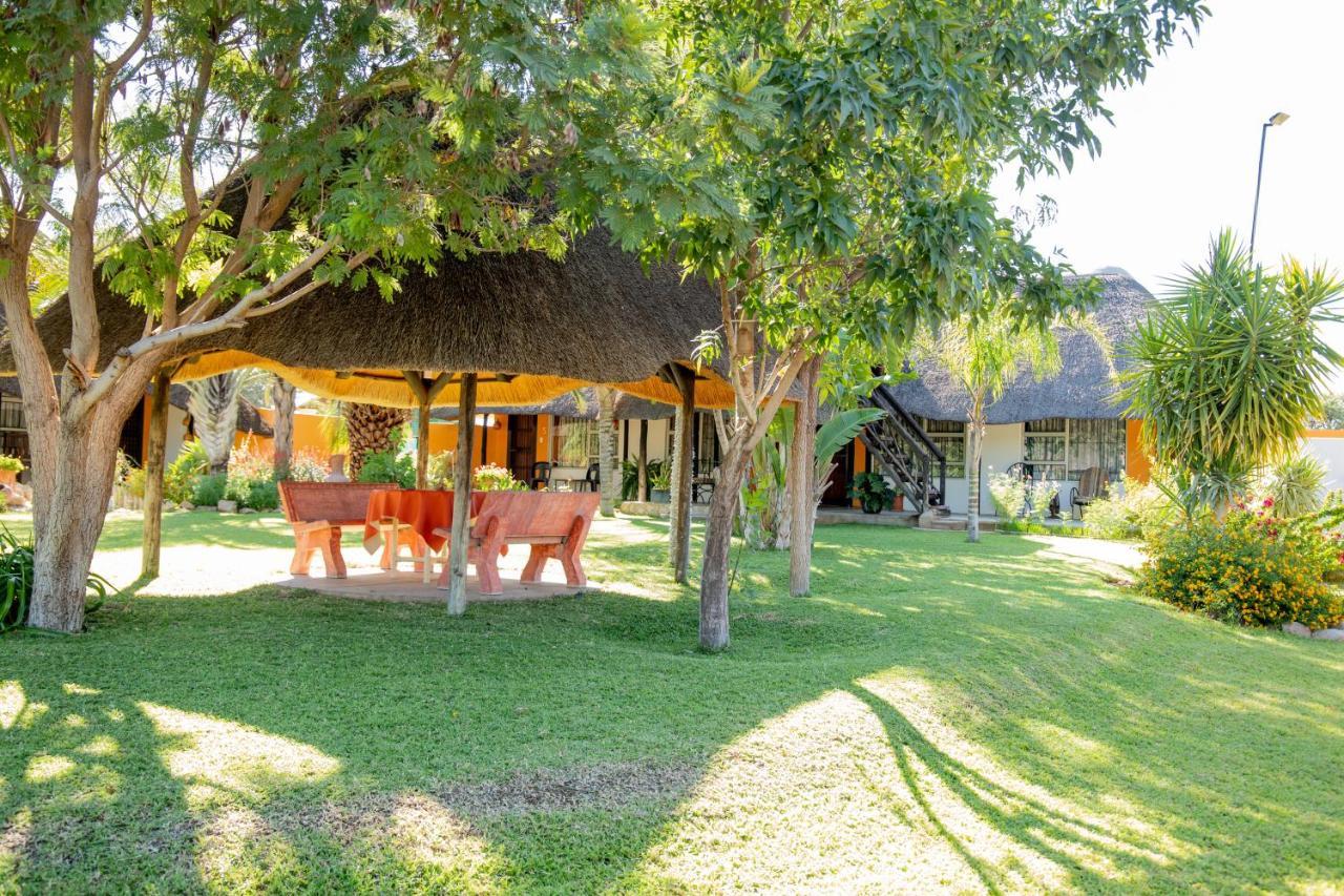 Lion'S Den Guesthouse Otjiwarongo Kültér fotó