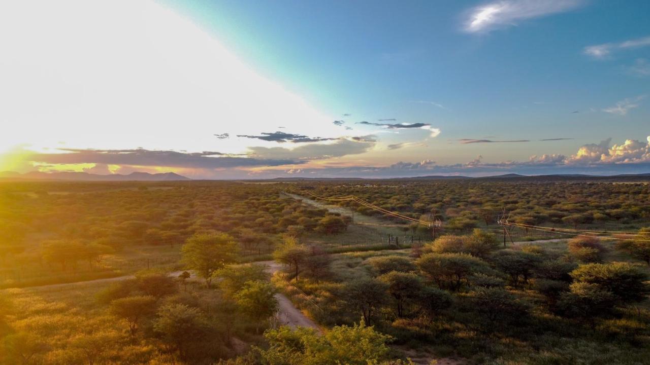 Lion'S Den Guesthouse Otjiwarongo Kültér fotó